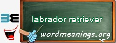 WordMeaning blackboard for labrador retriever